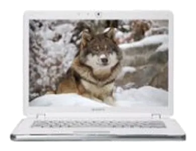 Ремонт Sony VAIO VGN-AR520E