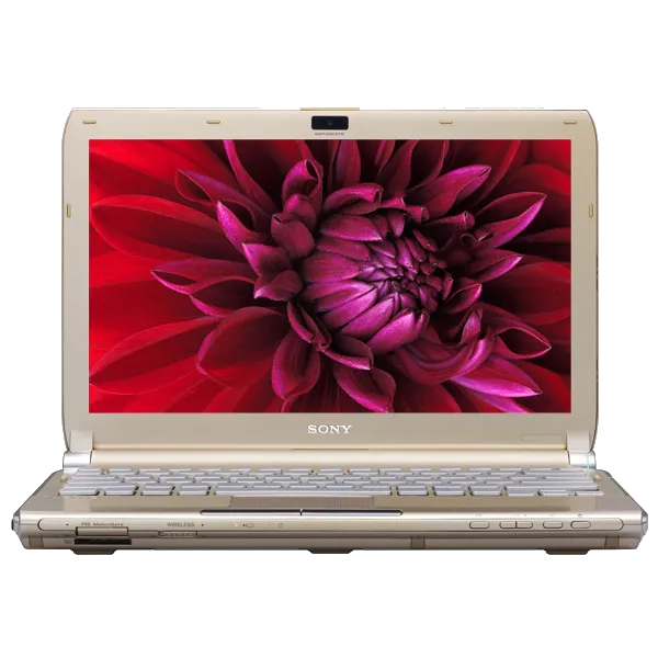 Ремонт Sony VAIO VGN-TT4MRG