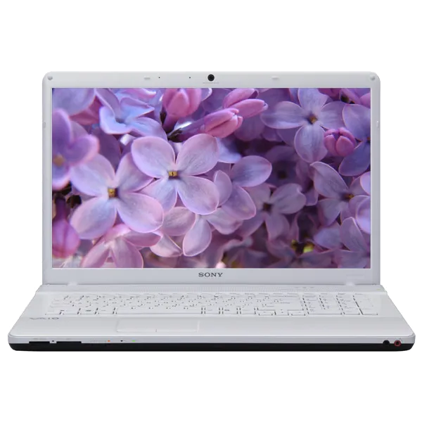 Ремонт Sony VAIO VPC-EC2M1R/WI